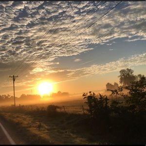 Meet your Posher, Mick