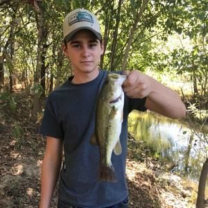 Meet your Posher, Will