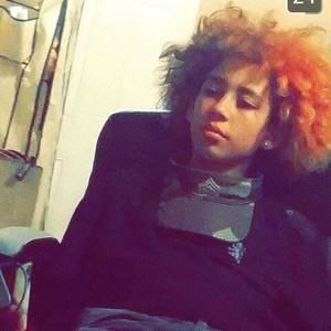 Meet your Posher, Champ