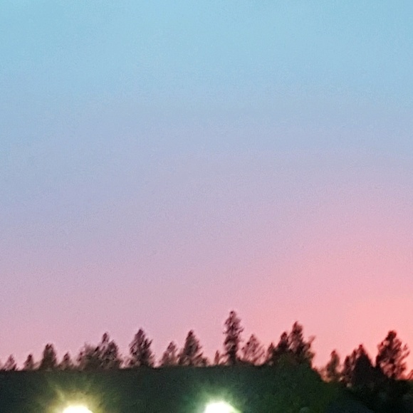 Meet your Posher, Olivia - Picture 1 of 1