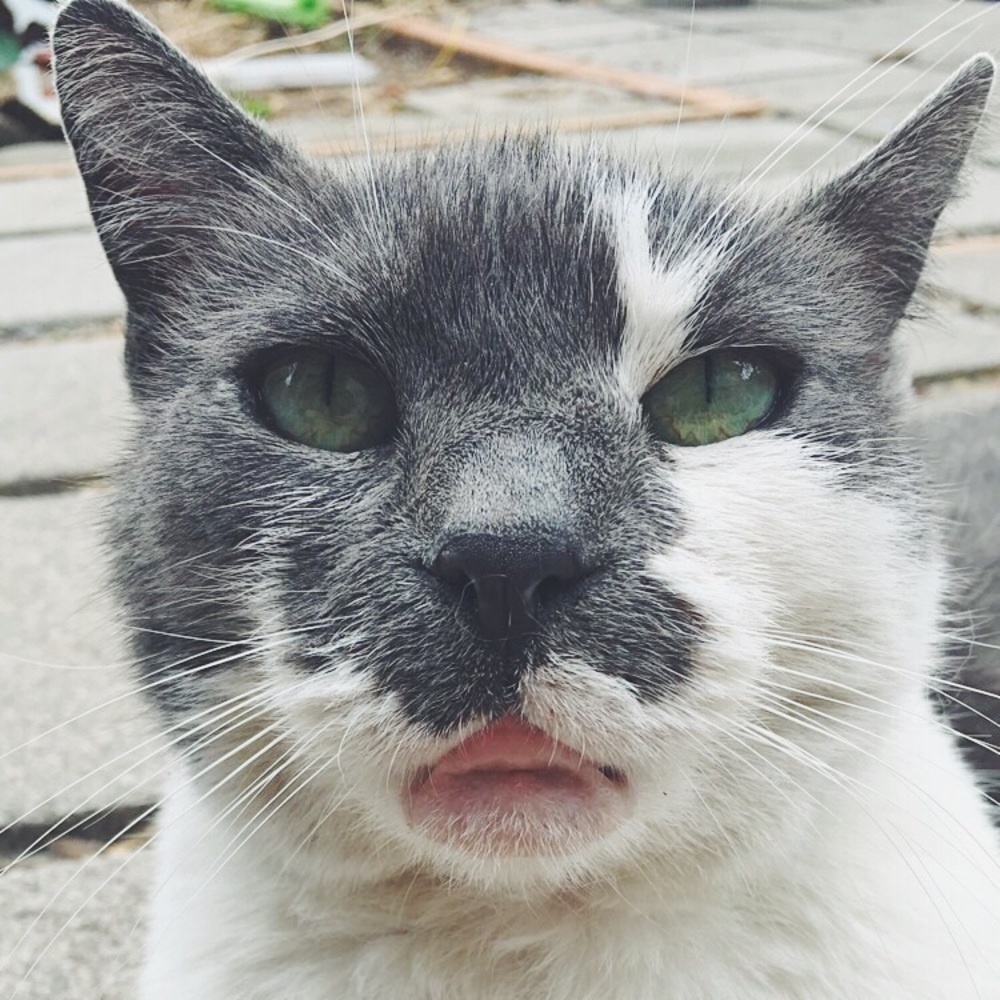 Meet your Posher, Jade