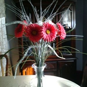 Meet your Posher, Debora