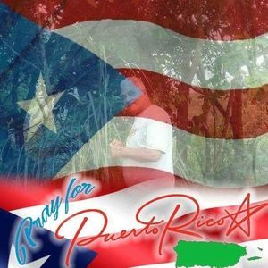 Meet your Posher, Minerva