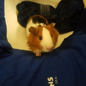 Meet your Posher, Candy