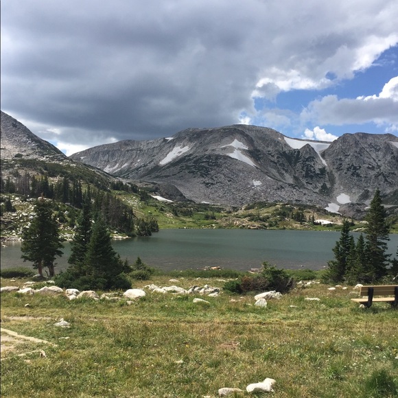 Meet your Posher, Amelia - Picture 1 of 1