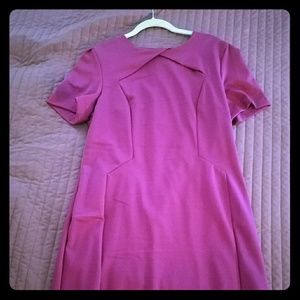 Banana republic pleated front knee length dress