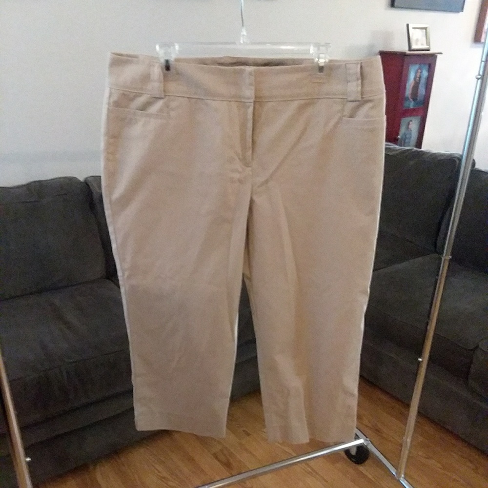 Sale! Plus size khaki capri pants