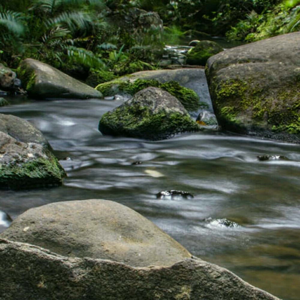 Meet your Posher, Marie