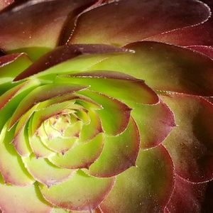 Meet your Posher, Nevaeh