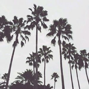 Meet your Posher, Magali