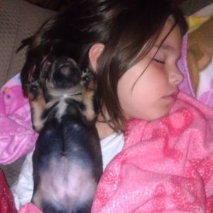 Meet your Posher, Alexis