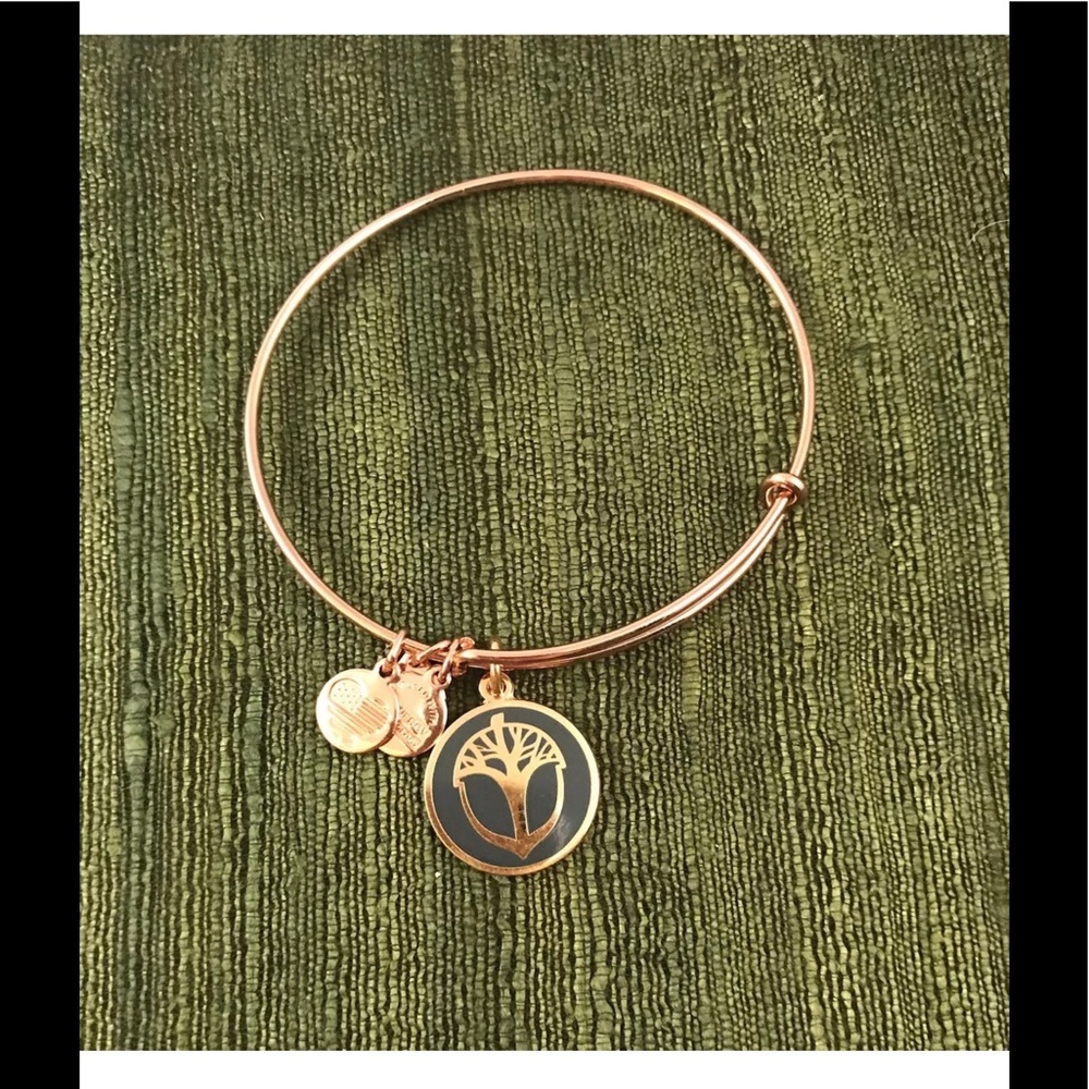 Alex & Ani Unexpected Miracle Color Infuse Charm