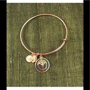 Alex & Ani Unexpected Miracle Color Infuse Charm