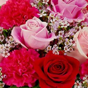 Meet your Posher, Asha