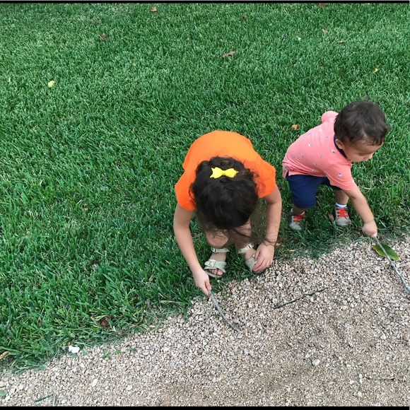 Meet your Posher, Samantha - Picture 1 of 1