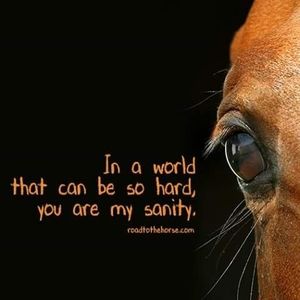 Meet your Posher, Sue