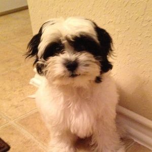 Meet your Posher, Cindy