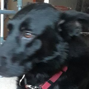 Meet your Posher, Charlotte