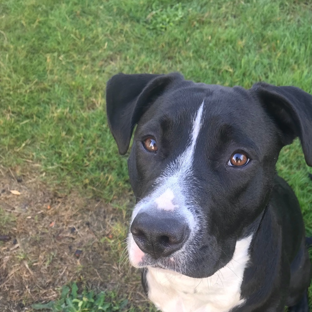 Meet your Posher, Rhonda