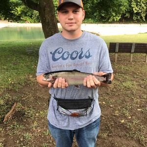 Meet your Posher, Tanner