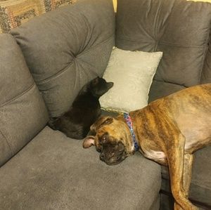 Meet your Posher, Tammy