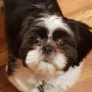 Meet your Posher, Roselle