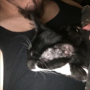 Meet your Posher, Vincent