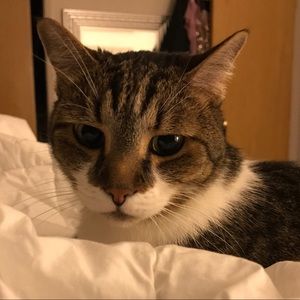 Meet your Posher, Ashley