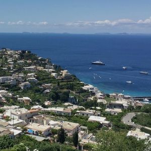 Meet your Posher, Carli