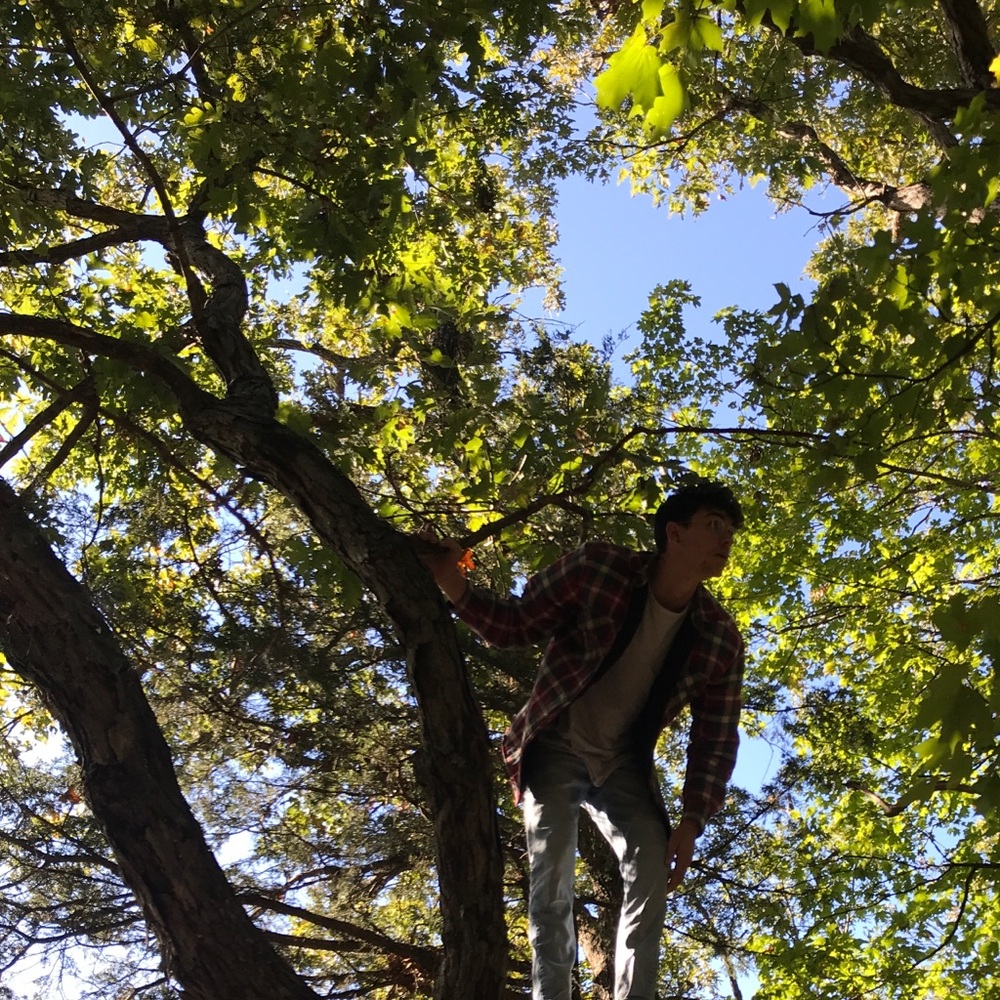 Meet your Posher, Tanner