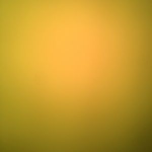 Meet your Posher, Marcy