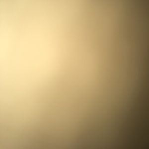 Meet your Posher, Leeshawn