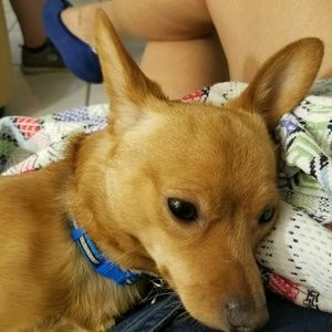 Meet your Posher, Barbara