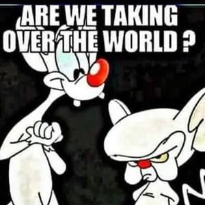 Meet your Posher, Alonzo