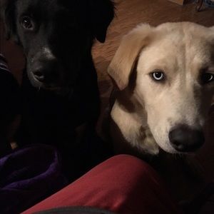 Meet your Posher, Vickie