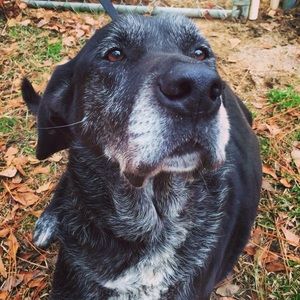 Meet your Posher, William