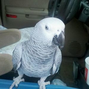 Meet your Posher, Tara