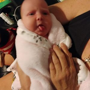 Meet your Posher, Janet