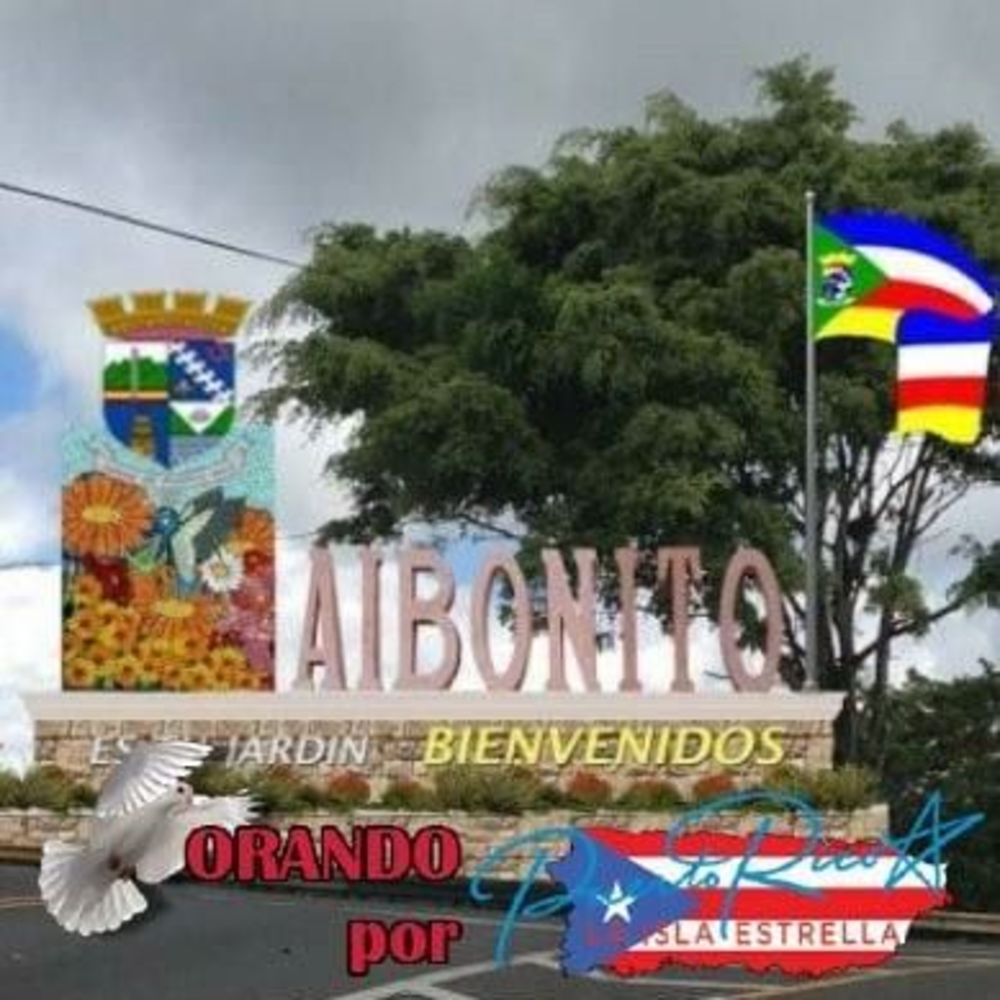 Meet your Posher, Janice