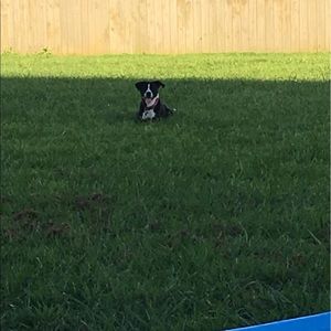 Meet your Posher, Brandon