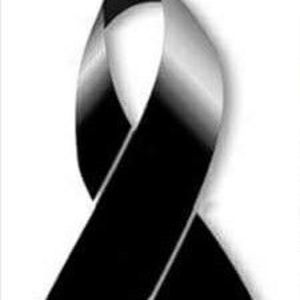 Meet your Posher, Silvia