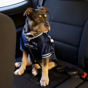 Meet your Posher, Ivy