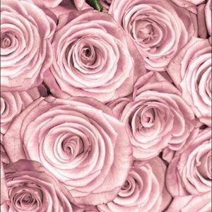 Meet your Posher, Lola