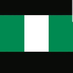 Meet your Posher, Adedapo