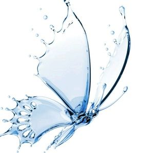 Meet your Posher, Wanda