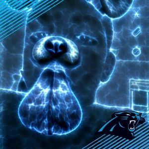 Meet your Posher, Tamara