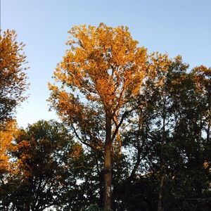 Meet your Posher, Elisa