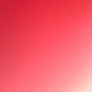 Meet your Posher, Iesha