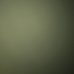 Meet your Posher, Ethan