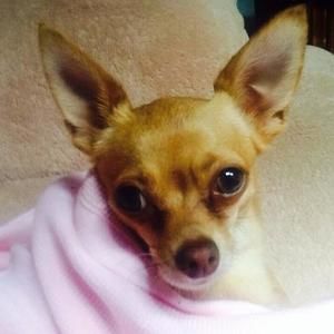 Meet your Posher, Karen